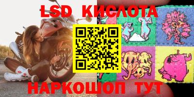 индика Лесосибирск